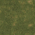 Thinning Grass Pad - 11-11/16 x 8-1/4"  29.7 x 21cm -- Summer Grass