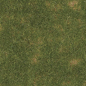 Thinning Grass Pad - 11-11/16 x 8-1/4"  29.7 x 21cm -- Summer Grass