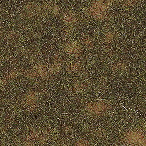 Thinning Grass Pad - 11-11/16 x 8-1/4"  29.7 x 21cm -- Late Summer Grass