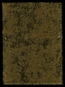 Thinning Grass Pad - 11-11/16 x 8-1/4"  29.7 x 21cm -- Late Summer/Early Autumn Grass