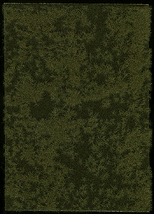 Thinning Grass Pad - 11-11/16 x 8-1/4"  29.7 x 21cm -- Late Spring/Early Summer Field grass