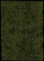 Thinning Grass Pad - 11-11/16 x 8-1/4"  29.7 x 21cm -- Late Spring/Early Summer Field grass