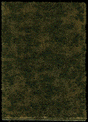 Thinning Grass Pad - 11-11/16 x 8-1/4"  29.7 x 21cm -- Edge Of Forest Grass
