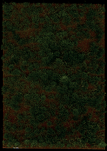 Thinning Grass Pad - 11-11/16 x 8-1/4"  29.7 x 21cm -- Heathland Grass