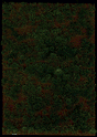 Thinning Grass Pad - 11-11/16 x 8-1/4"  29.7 x 21cm -- Heathland Grass