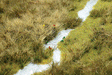 Thinning Grass Pad - 11-11/16 x 8-1/4"  29.7 x 21cm -- Grass Meadow w/Stream