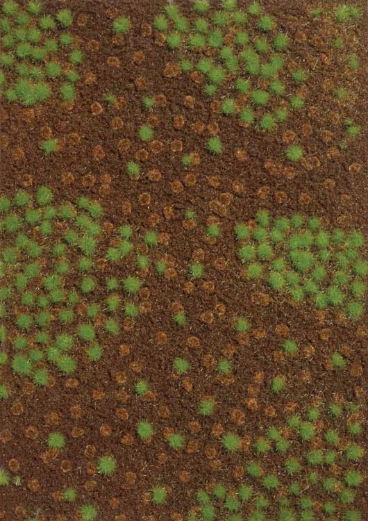 Ground Cover Mat -- Summer Forest - 7-1/2 x 9-13/16"  19 x 25cm-1