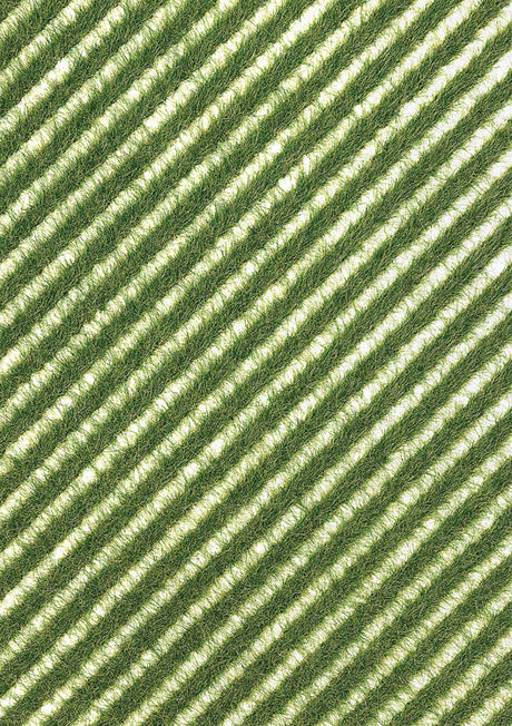 Grass Strips -- Spring Grass