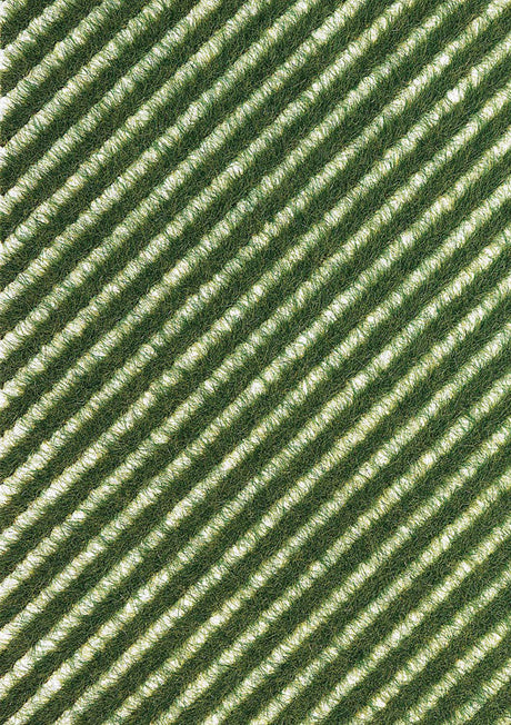 Grass Strips -- Summer Grass
