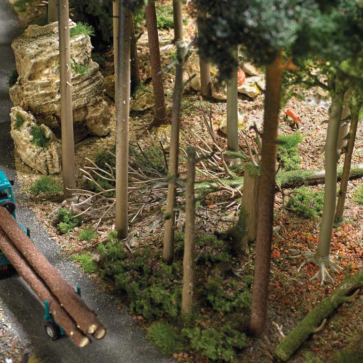 Coarse Woody Debris -- 3 Trunks, 13 Bare Trees, 7 Stumps, Signs, 2 Trash Cans, Small Animals-2