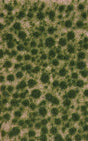 Grass Tuft Sheet -- Short Late Summer Tufts 1/16" .2cm Tall, 5-7/16 x 3-7/16" 13.8 x 8.8cm