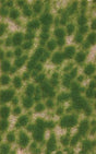 Grass Tuft Sheet -- Long Spring Tufts 3/16" .4cm Tall, 5-7/16 x 3-7/16" 13.8 x 8.8cm