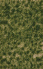 Grass Tuft Sheet -- Long Late Summer Tufts 3/16" .4cm Tall, 5-7/16 x 3-7/16" 13.8 x 8.8cm