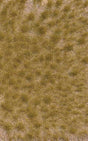 Grass Tuft Sheet -- Long Fall Tufts 3/16" .4cm Tall, 5-7/16 x 3-7/16" 13.8 x 8.8cm