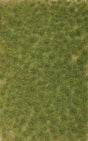 Grass Tuft Sheet -- 2-Color Spring Tufts 3/16" .4cm Tall, 5-7/16 x 3-7/16" 13.8 x 8.8cm