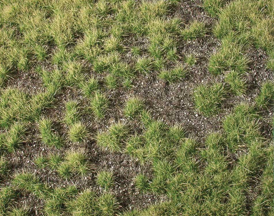 Grass Tuft Sheet -- 2-Color Long Spring Tufts 1/4" .6cm Tall, 5-7/16 x 3-7/16" 13.8 x 8.8cm-2
