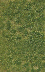 Grass Tuft Sheet -- Spring Weed Tufts 3/16" .4cm Tall, 5-7/16 x 3-7/16" 13.8 x 8.8cm