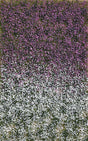 Grass Tuft Sheet -- Late Summer Blossom Tufts 3/16" .4cm Tall, 5-7/16 x 3-7/16" 13.8 x 8.8cm