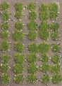 Grass Tufts with Stones -- Spring pkg(40)