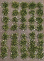 Grass Tufts with Stones -- Late Summer pkg(40)
