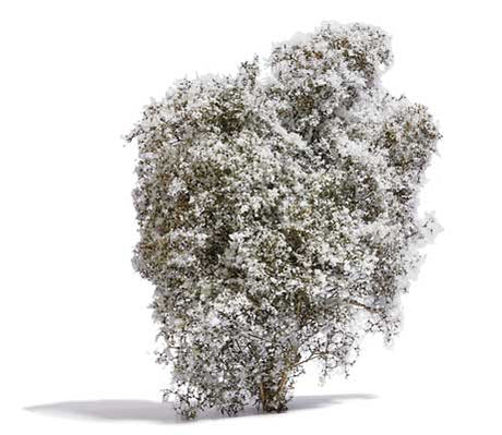 Filigree Bush -- White Blossoms 5/8"  1.5cm Tall