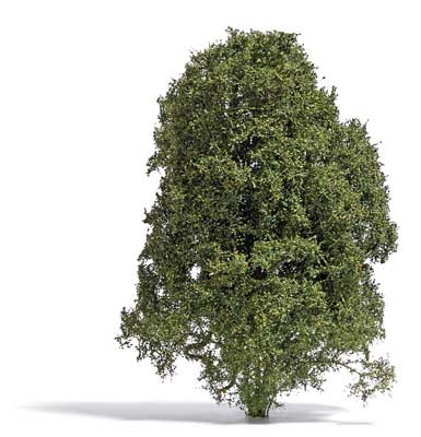 Filigree Bush -- Late Summer Green 5/8"  1.5cm Tall