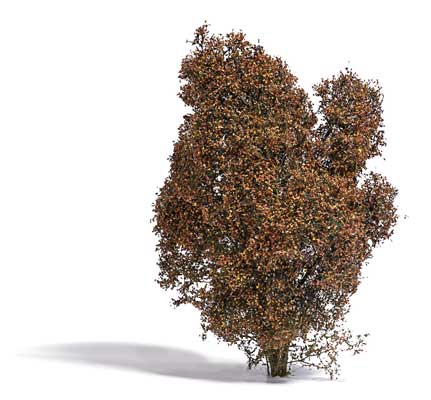 Filigree Bush -- Fall Brown 5/8"  1.5cm Tall