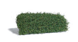 Shrub Mat - 4-3/4 x 3-1/8 x 1-3/8"  12 x 8 x 3.5cm -- Fall
