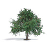 Apple Tree - Exclusive -- 2-15/16" 7.5cm Tall