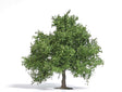 Spring Oak-Fruit Tree - Exclusive -- 3-3/4" 9.5cm Tall