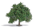 Oak Tree -- Late Summer 3-3/4" 9.5cm Tall