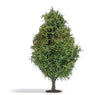 Deciduous Tree -- Late Summer 4-1/2" 11.5cm Tall