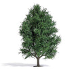 Summer Aspen Tree - Exclusive -- 5-7/8" 15cm Tall