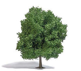 Chestnut Tree -- 8-11/16" 22cm Tall-1
