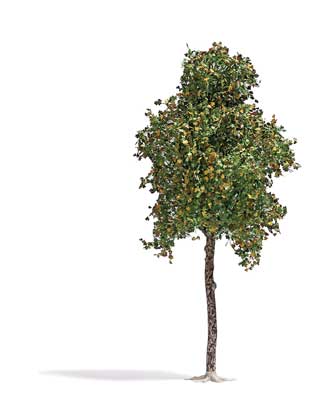 Sycamore Tree -- Late Summer 6-11/16" 17cm Tall