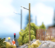 Street Lamps on Wooden Poles