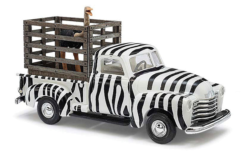 1950 Chevrolet Pickup Truck w/Crated Ostrich Load - Assembled -- Zoo (Zebra Stripes; black, white)