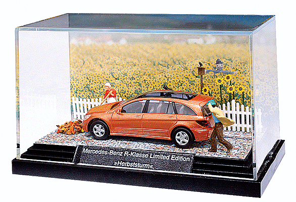European Automobile Mercedes-Benz R-Klasse T-Modell Station Wagon -- Autumn Storm Limited Edition