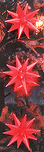 Illuminated Star -- Red pkg(3)