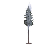 Burning Spruce Tree Struck by Lightning -- 14-16V; 6-5/16" 16cm Tall-2