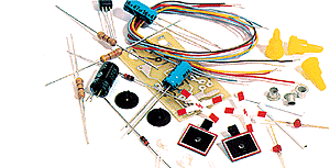 Crossing Flasher Kit