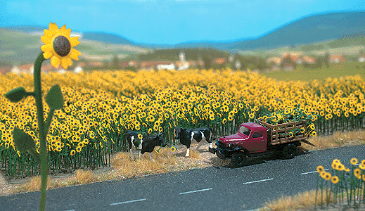 Sunflower Field pkg(60) -- With Bases