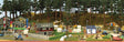 Campground Scene