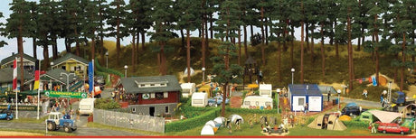 Campground Scene