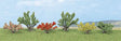 Bushes -- pkg(6)
