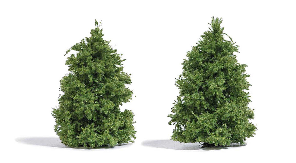 Larch Trees -- 2-3/8"  6cm pkg(2)-2