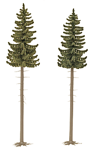 Spruce Trees pkg(2) -- 7-3/8 & 7-13/16"  185 & 195mm Tall