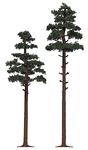 Pine Trees -- 6-7/8 & 8-1/4"  17.5 & 21cm pkg(2)