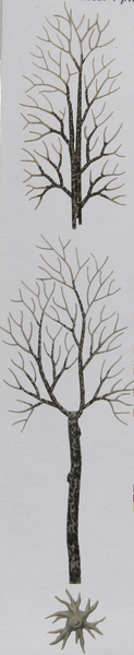 Winter Trees -- 6-1/2"  16.5cm pkg(4)