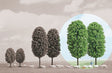 Deciduous Trees -- 5-11/16"  14.5cm Tall pkg(2)